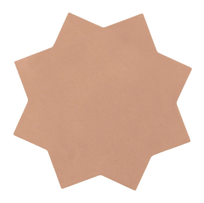 Terracotta 6.5×6.5 Star Matte - porcelain tile